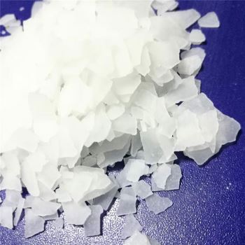 山东丝瓜视频色在线观看