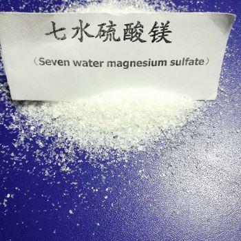 七水丝瓜视频污网站