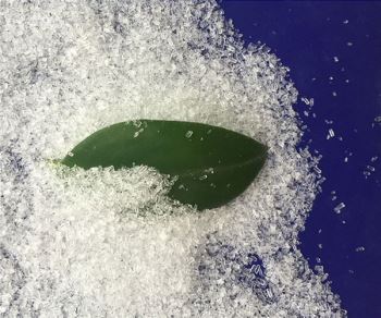 丝瓜视频污网站厂家