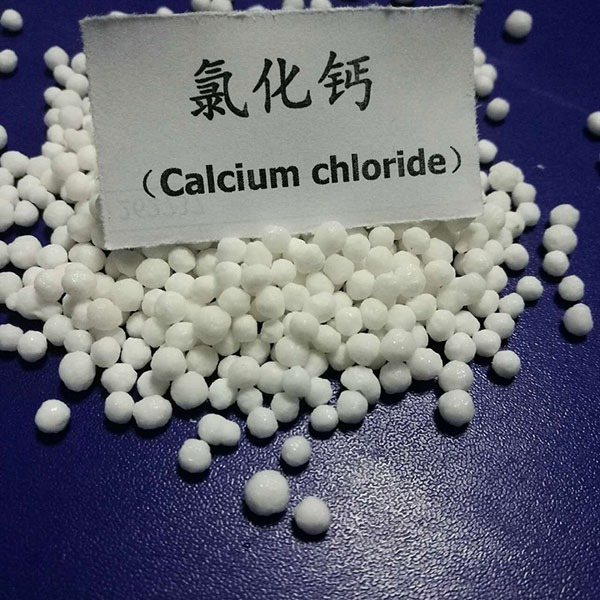 丝瓜视频色版成人APP下载厂家}